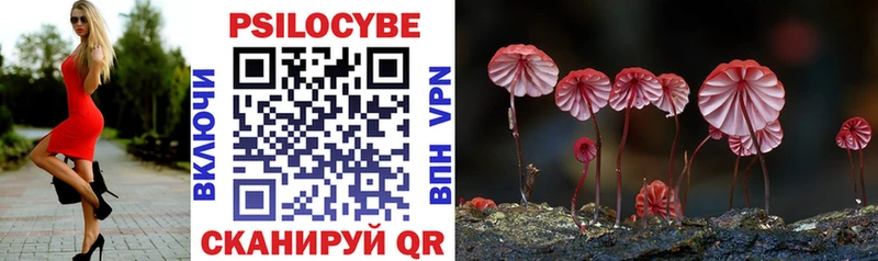 Галлюциногенные грибы Psilocybe Чердынь
